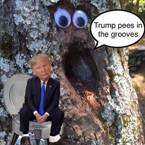 Meet your Posher, Bjorky byorking